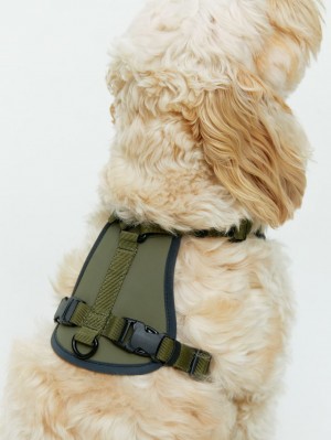 Alte Accesorii Arket Mesh Dog Harness Barbati Kaki Verzi | Romania-YWKN35817