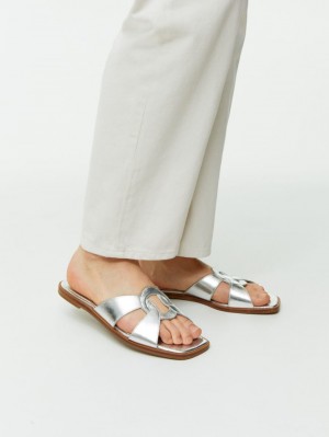 Balerini Arket Plati Piele Slip-Ins Dama Argintii | Romania-KNEY85432