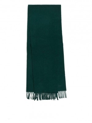 Esarfa Arket Woven Cashmere Barbati Verzi Inchis | Romania-PSDE12675