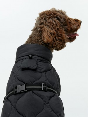 Geaca Arket Dog Puffer Barbati Negrii | Romania-TNAF72485