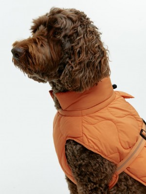 Geaca Arket Dog Puffer Barbati Portocalii | Romania-YTUX87510