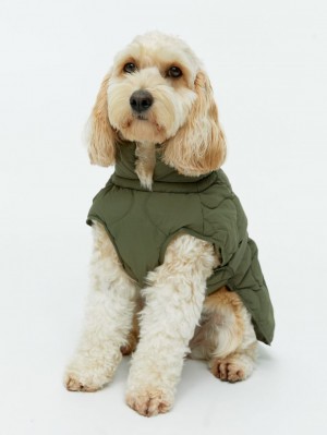 Geaca Arket Dog Puffer Barbati Verzi | Romania-SFAK87623