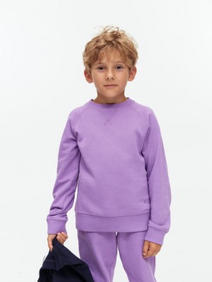 Hanorac Arket Bumbac Fete Violet | Romania-GNZK32859