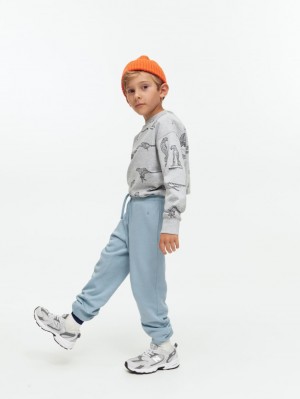 Pantaloni de Trening Arket French Terry Fete Albastri | Romania-PQVY43079