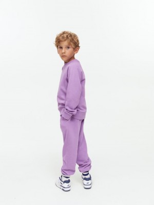 Pantaloni de Trening Arket French Terry Fete Violet | Romania-NXYM67814