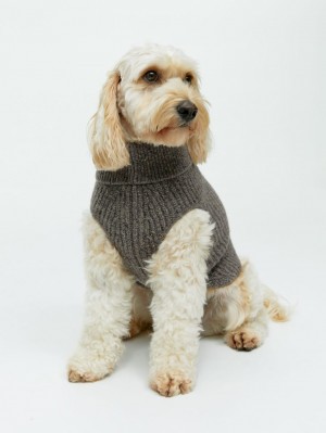 Pulover Arket Dog Tricotate Barbati Maro | Romania-WYEN41893