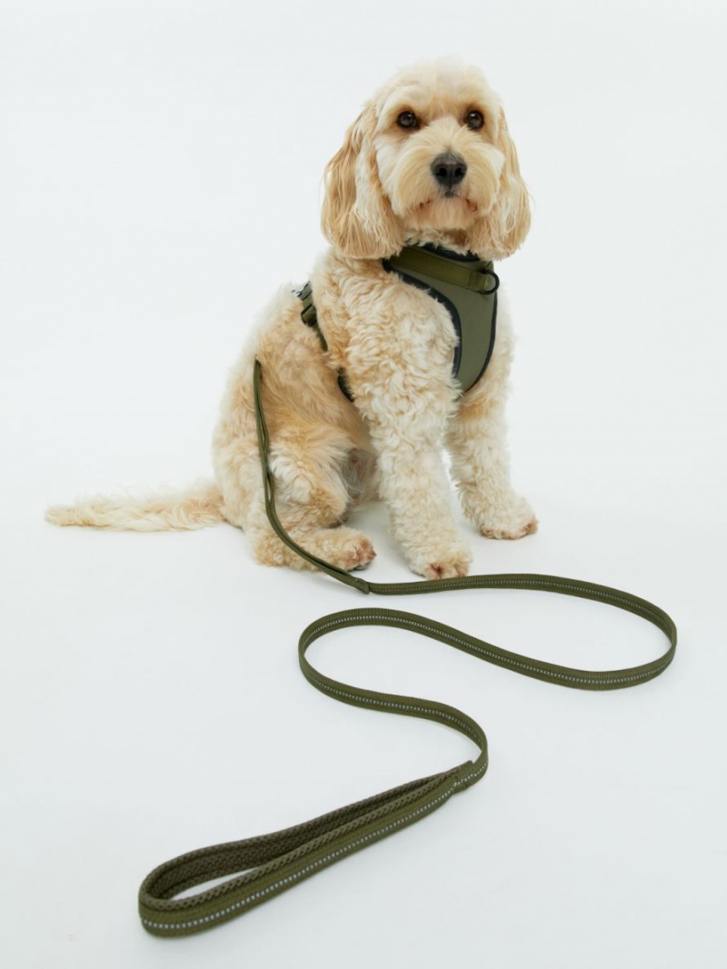 Alte Accesorii Arket Mesh Dog Harness Barbati Kaki Verzi | Romania-YWKN35817