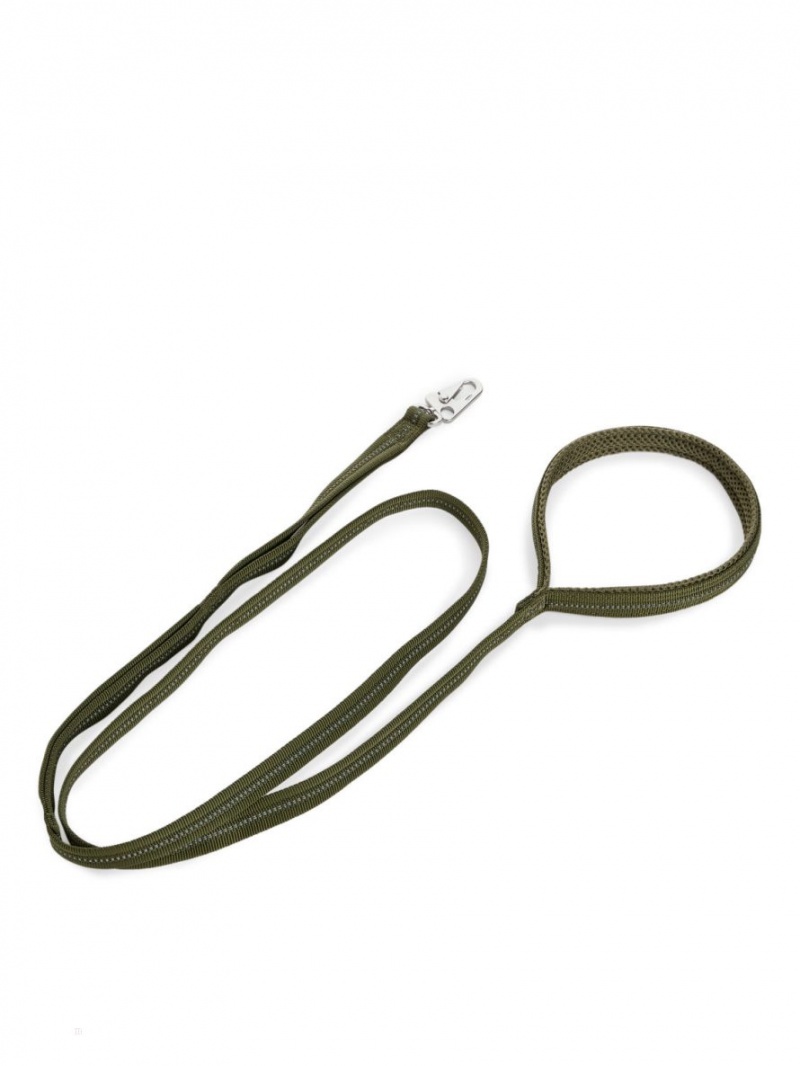 Alte Accesorii Arket Nailon Dog Leash Barbati Verzi | Romania-ASCN97568
