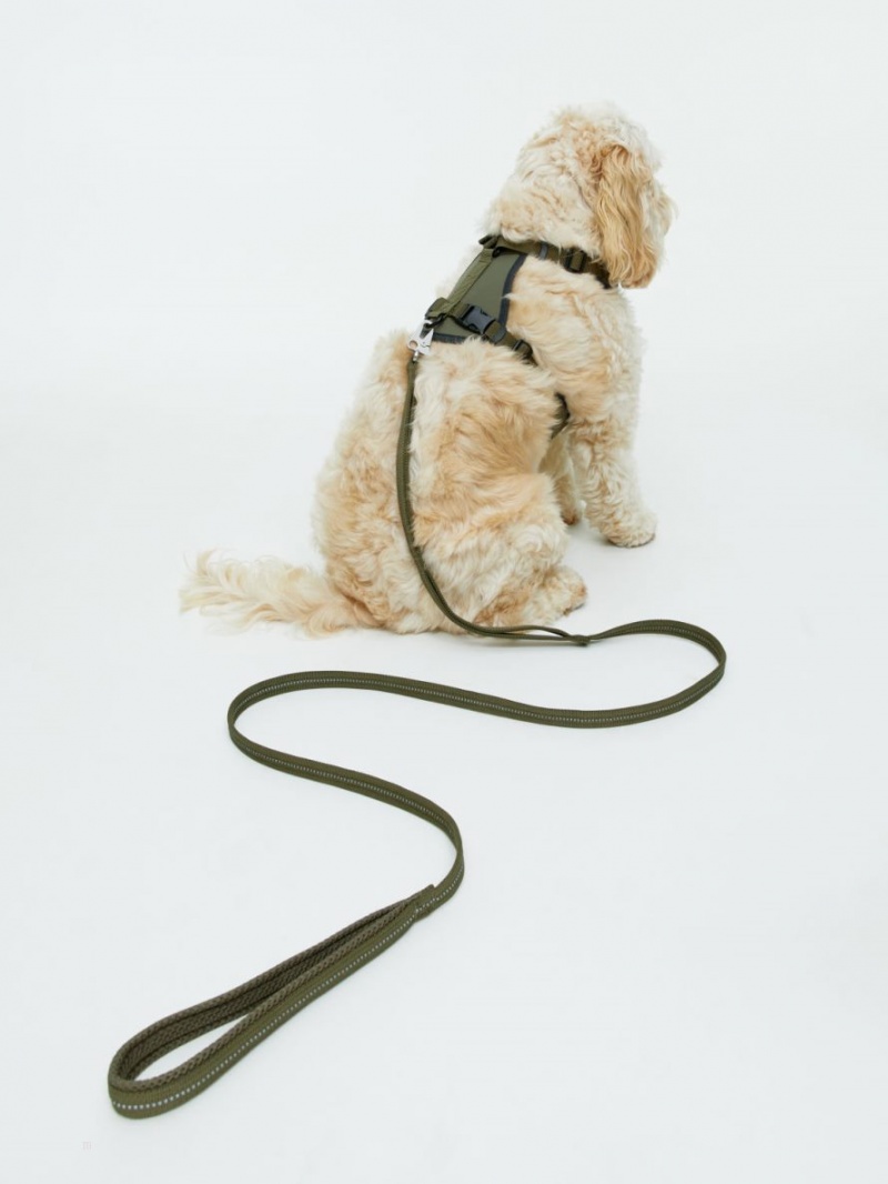 Alte Accesorii Arket Nailon Dog Leash Barbati Verzi | Romania-ASCN97568