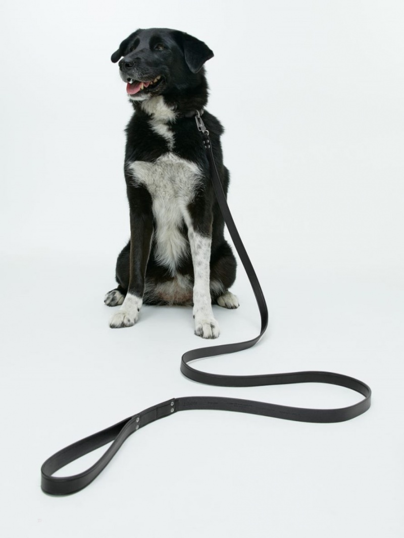 Alte Accesorii Arket Piele Dog Leash Barbati Negrii | Romania-ZOCX63085
