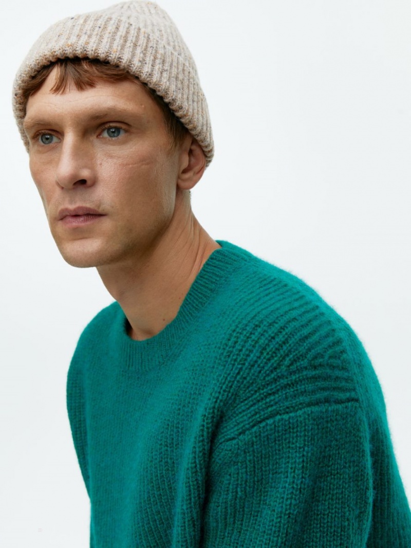 Caciula Arket Rib-Knit Lână Barbati Bej | Romania-NKZQ74803