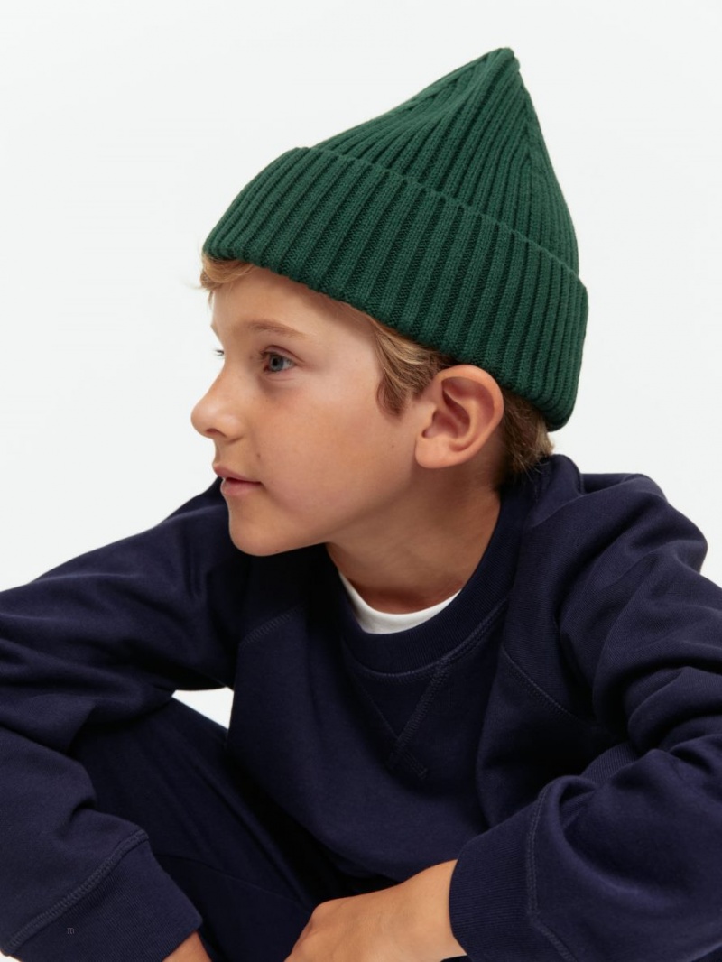 Caciula Arket Rib Knit Baieti Verzi Inchis | Romania-IKGN46058
