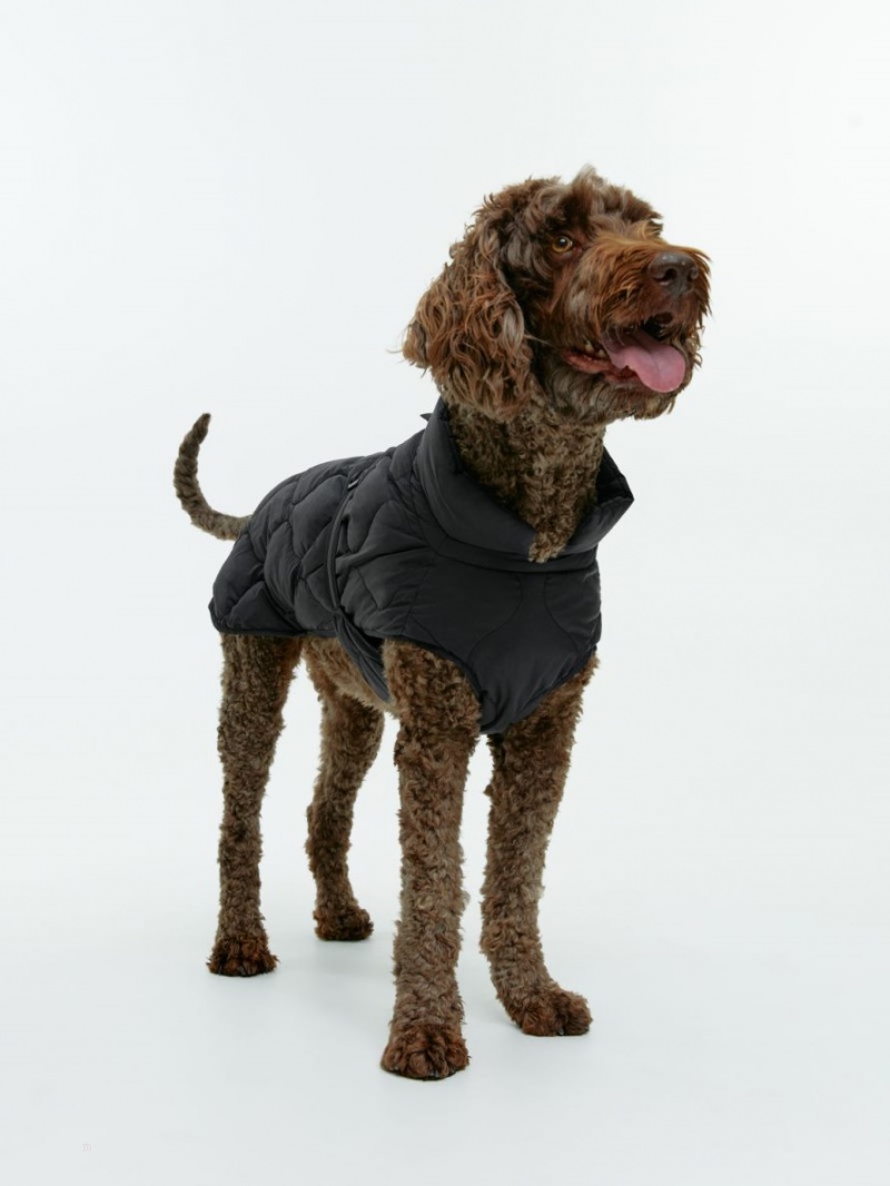 Geaca Arket Dog Puffer Barbati Negrii | Romania-TNAF72485