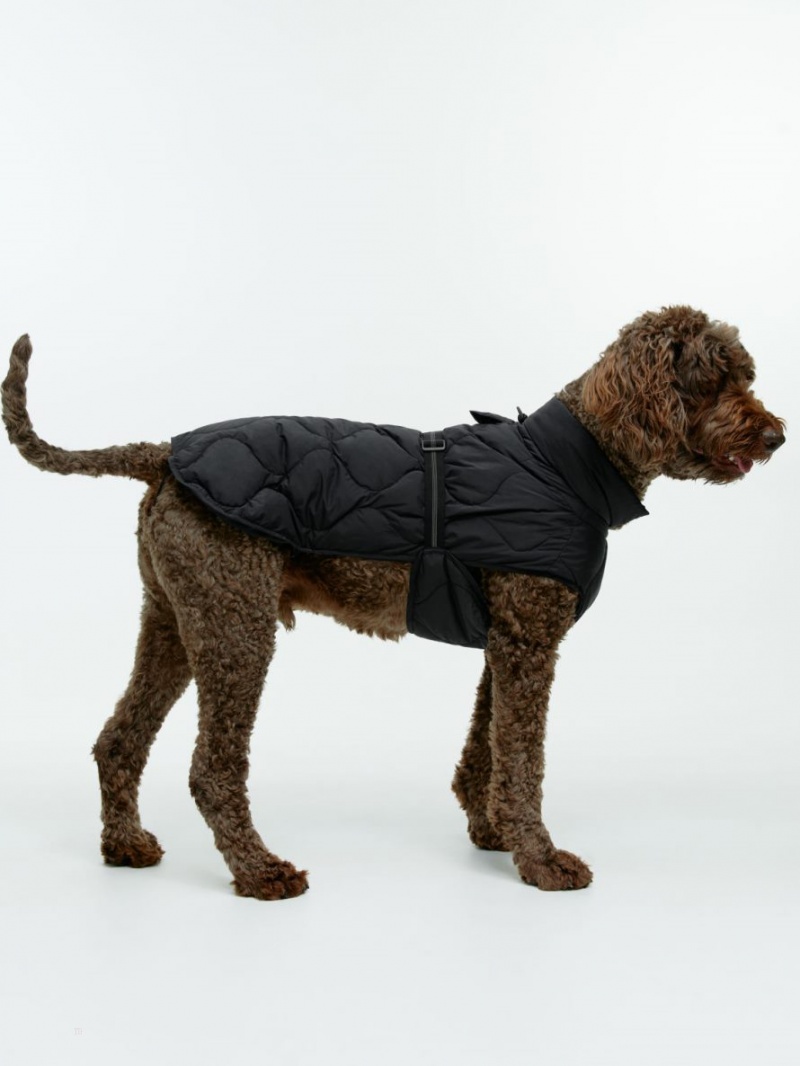 Geaca Arket Dog Puffer Barbati Negrii | Romania-TNAF72485