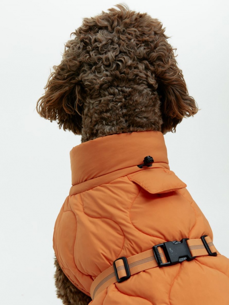 Geaca Arket Dog Puffer Barbati Portocalii | Romania-YTUX87510