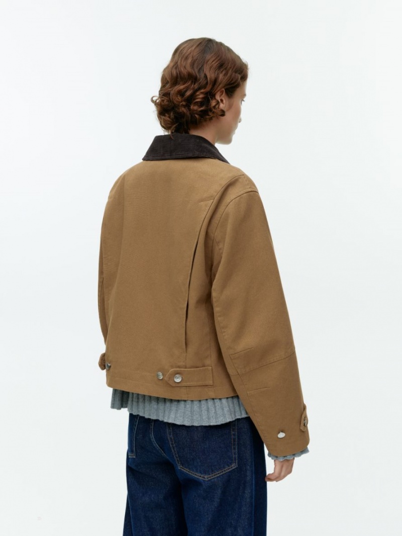 Geaca Arket Panza Zip Dama Maro | Romania-XFBM62935