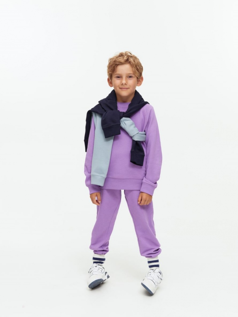 Hanorac Arket Bumbac Fete Violet | Romania-GNZK32859