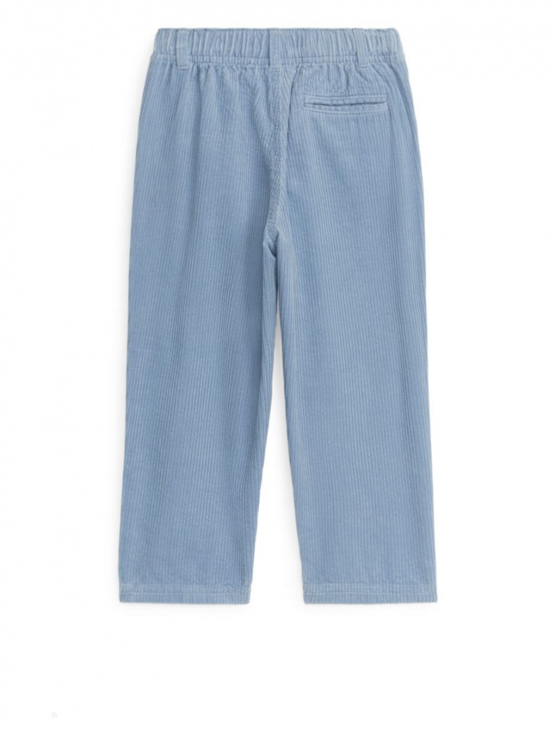 Pantaloni Arket Corduroy Baieti Albastri | Romania-NDLP82916