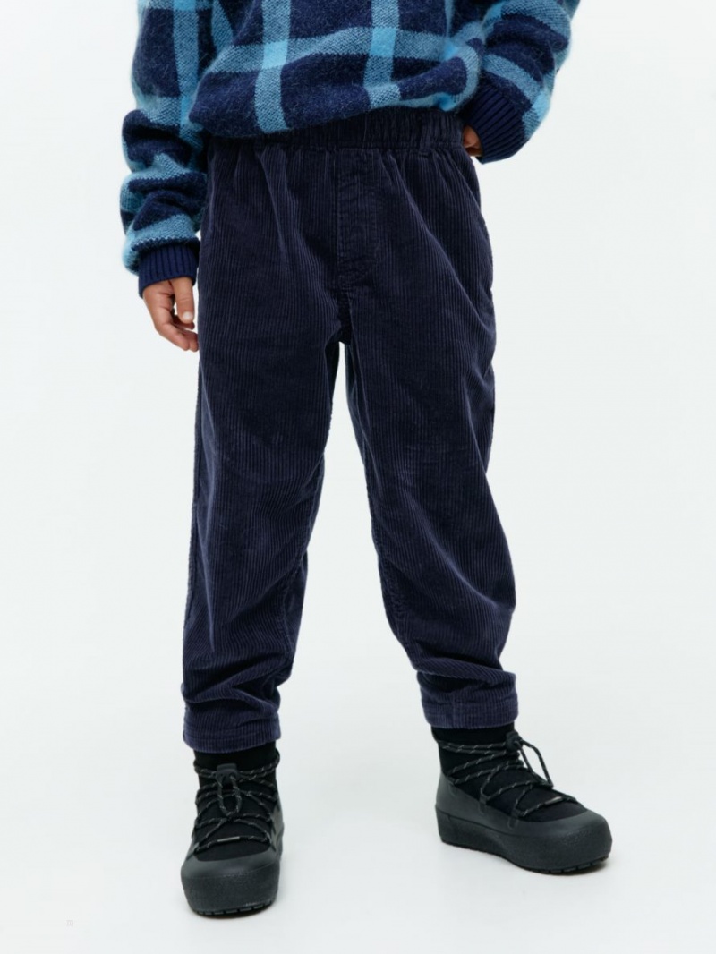 Pantaloni Arket Corduroy Baieti Albastri Inchis | Romania-QDXC19827