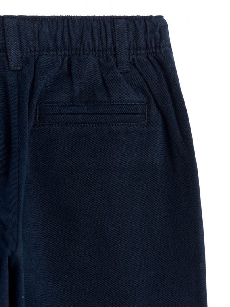 Pantaloni Arket Tapered Bumbac Chinos Baieti Albastri Inchis | Romania-RVIH81537