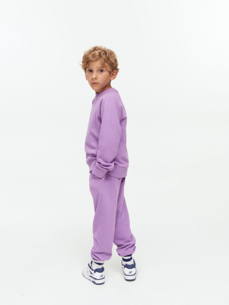 Pantaloni de Trening Arket French Terry Fete Violet | Romania-NXYM67814